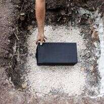 אבישג שאר ישוב