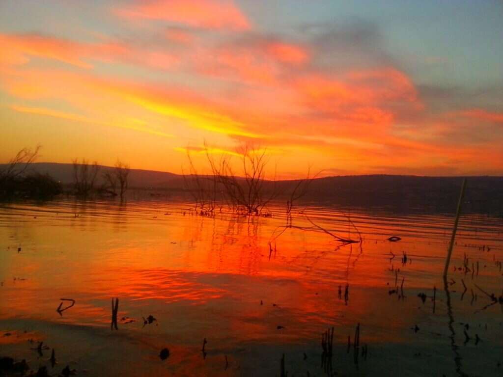מתוך הסרט כנרת - ים של חיים. | משה אלפרט