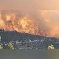 שריפה בהרי ירושלים, ארכיון. | אריאל קדם, רשות הטבע והגנים
