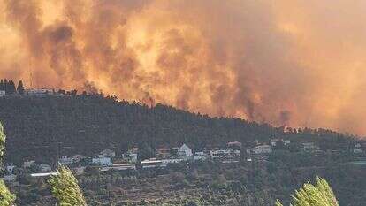 שריפה בהרי ירושלים, ארכיון. | אריאל קדם, רשות הטבע והגנים