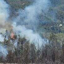מוקד בעירה במדרון הדרומי בשמורת הר טייסים. | אריאל קדם רשות הטבע והגנים