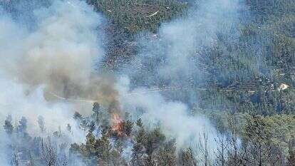 מוקד בעירה במדרון הדרומי בשמורת הר טייסים. | אריאל קדם רשות הטבע והגנים מוקד בעירה במדרון הדרומי בשמורת הר טייסים. | אריאל קדם רשות הטבע והגנים
