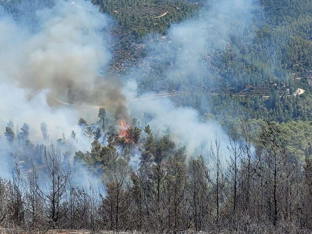 מוקד בעירה במדרון הדרומי בשמורת הר טייסים. | אריאל קדם רשות הטבע והגנים