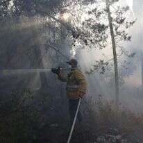 מאמצי הכיבוי בהרי ירושלים נמשכים. | EPA
