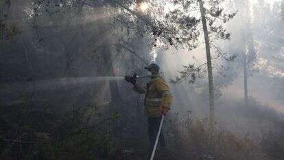 מאמצי הכיבוי בהרי ירושלים נמשכים. | EPA