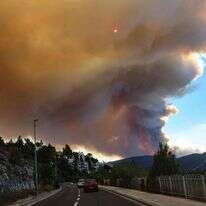 השרפה הגדולה ביער ירושלים. | AFP