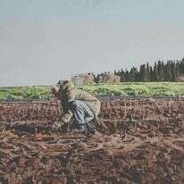 איור: אלי שמיר, שותל בחורף ( | אברהם חי). מתוך התערוכה זמן דיוקן במוזיאון הרצליה