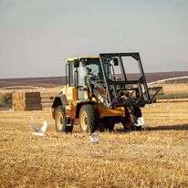 עזיבת האדמות למשך שנה עלולה לפגוע בחוסנה של החקלאות היהודית | ענת חרמוני, פלאש 90 עזיבת האדמות למשך שנה עלולה לפגוע בחוסנה של החקלאות היהודית | ענת חרמוני, פלאש 90