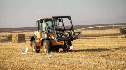 עזיבת האדמות למשך שנה עלולה לפגוע בחוסנה של החקלאות היהודית | ענת חרמוני, פלאש 90 עזיבת האדמות למשך שנה עלולה לפגוע בחוסנה של החקלאות היהודית | ענת חרמוני, פלאש 90