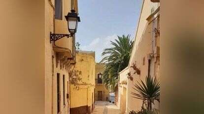 ההגירה המוסלמית מאיימת על האווירה הפסטורלית. סמטה במלייה. | אליהו בירנבוים