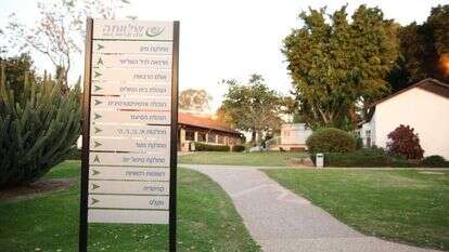 המרכז לבריאות הנפש, שלוותה, אילוסטרציה. | חן גלילי