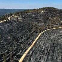 השריפה בהרי ירושלים. | AFP