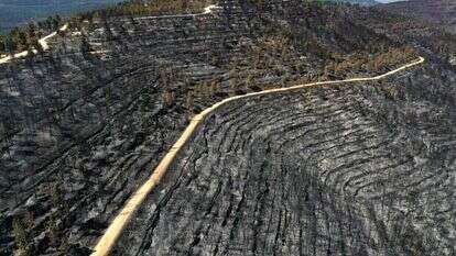 השריפה בהרי ירושלים. | AFP
