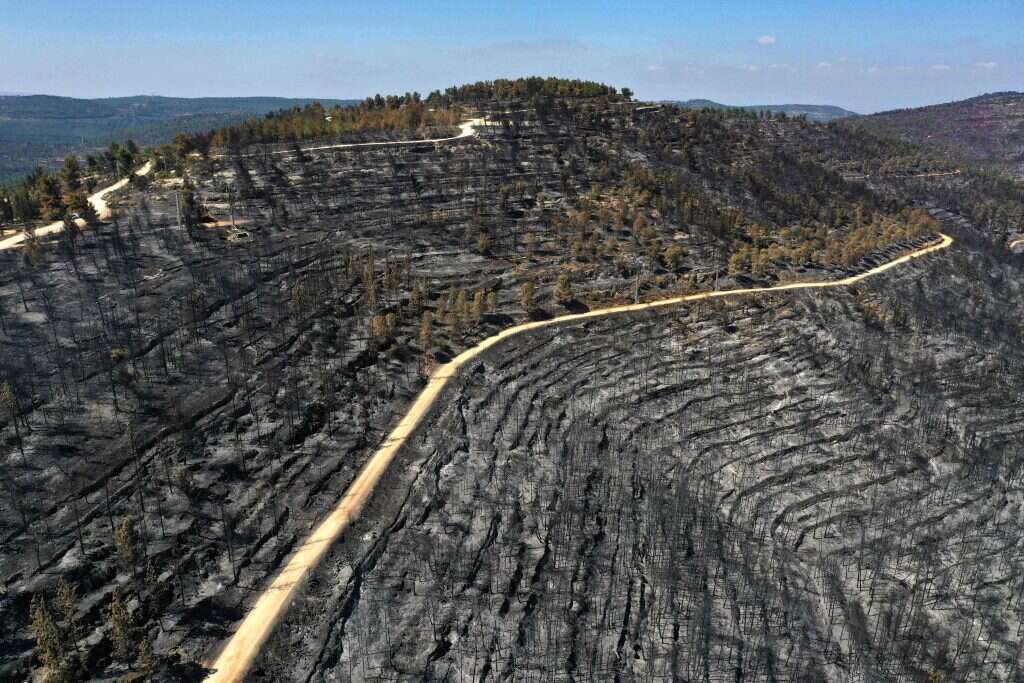 השריפה בהרי ירושלים. | AFP