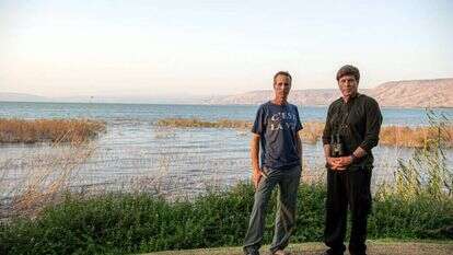 גיל אליהו - ג'יני