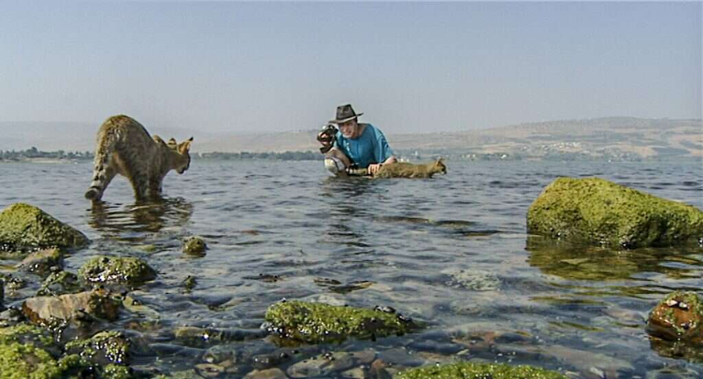 ליאור אלפרט