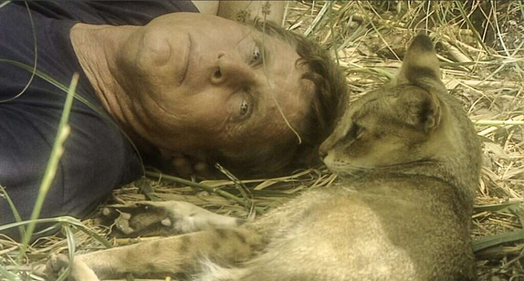 ליאור אלפרט