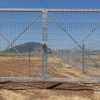 אייל מרגולין - ג'יני