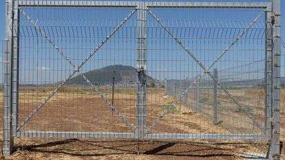 אייל מרגולין - ג'יני