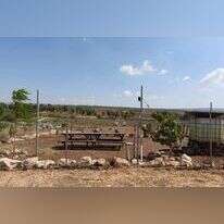 "מגיעים לכאן בסופי שבוע, עושים חאפלות ומנגלים, ואת הזבל זורקים מחוץ לשטחם". קרקע "חקלאית" מגודר סמוך לכפר־תבור. | אייל מרגולין - ג'יני "מגיעים לכאן בסופי שבוע, עושים חאפלות ומנגלים, ואת הזבל זורקים מחוץ לשטחם". קרקע "חקלאית" מגודר סמוך לכפר־תבור. | אייל מרגולין - ג'יני