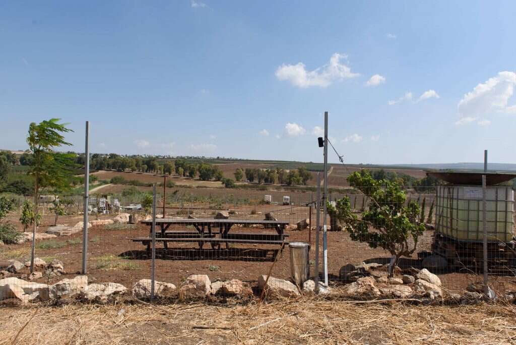 "מגיעים לכאן בסופי שבוע, עושים חאפלות ומנגלים, ואת הזבל זורקים מחוץ לשטחם". קרקע "חקלאית" מגודר סמוך לכפר־תבור. | אייל מרגולין - ג'יני