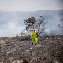 שטחים שרופים ליד רמת־רזיאל, השבוע. | יונתן זינדל, פלאש 90