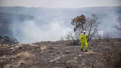 שטחים שרופים ליד רמת־רזיאל, השבוע. | יונתן זינדל, פלאש 90