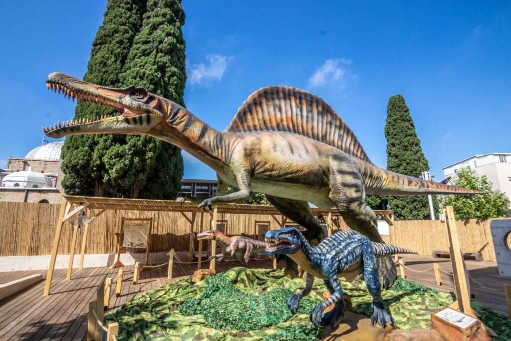 סודות הדינוזאורים. | מושון תמיר