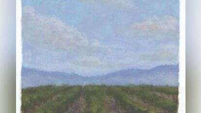 איור: מנחם הלברשטט