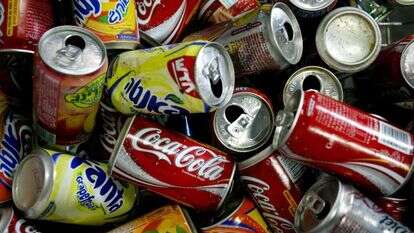 שתייה מתוקה. | פייר תורג'מן, פלאש 90