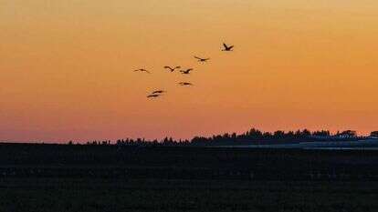 זריחה בשדות עמק יזרעאל. | ענת הרמוני, פלאש 90