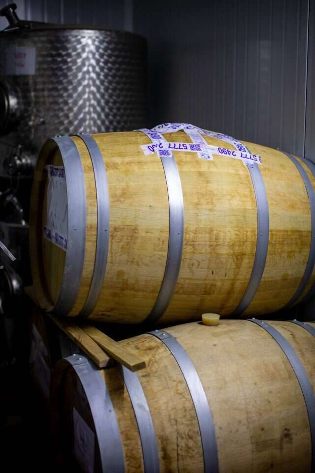 שנאפס מפירות הארץ. חביות במזקקה. | אריק סולטן