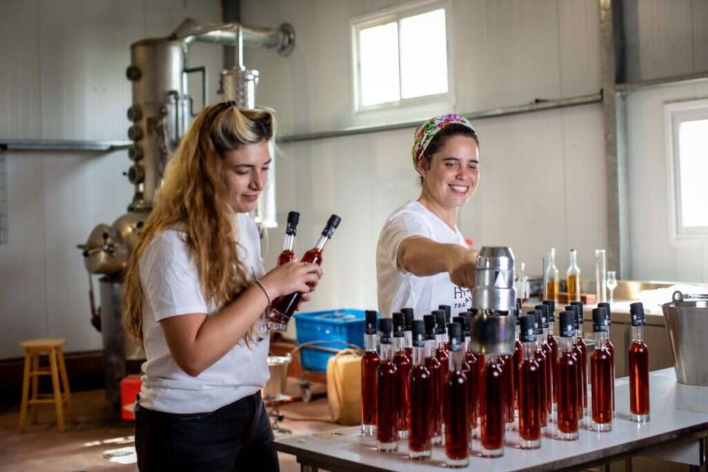 לא משחקת על הטיקט הפמיניסטי. הולנדר–מואטי
בעבודה. | אריק סולטן