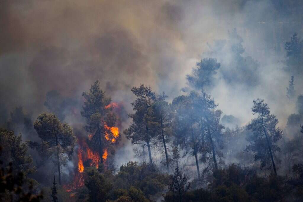 שריפה בהרי ירושלים. | אוליבייה פיטוסי, פלאש 90