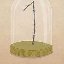 איור: שרון ארדיטי