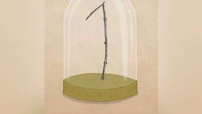 איור: שרון ארדיטי