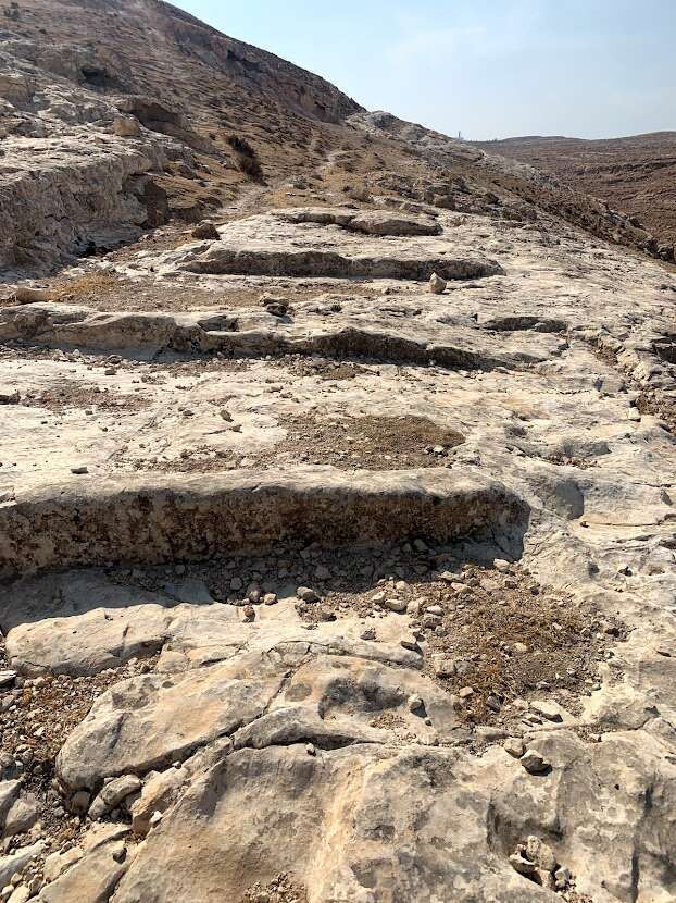 מדרגות חצובות ששימשו את עולי הרגל לירושלים | יוסף שפייזר