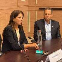 ח"כ מירב בן ארי