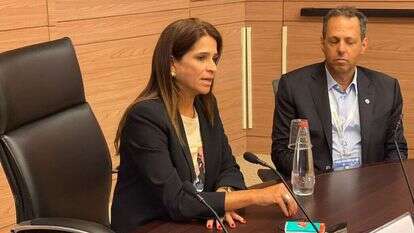 ח"כ מירב בן ארי ח"כ מירב בן ארי