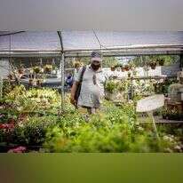 בעידן המודרני רובנו המוחלט לא עובדים את האדמה. משתלת גינת תמר בקעה ירושלים, אתמול | יונתן זינדל, פלאש 90