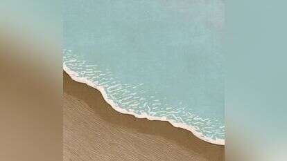 איור: שרון ארדיטי