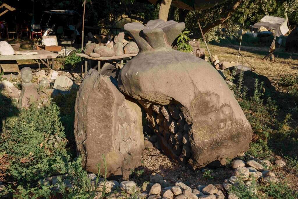 השבר שינה את העיצוב. הרימון השחוט בגינוסר | אנצ׳ו גוש - ג׳יני