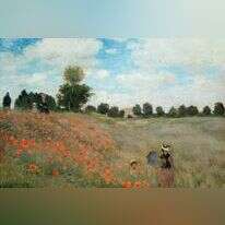 שדה הפרג, קלוד מונה. | GettyImages