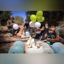 מחבלים ברצועת עזה מכינים בלוני תבערה לשיגור לישראל. | AFP