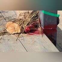 המטען שהונח בעדי עד. | איגוד הרבשצים