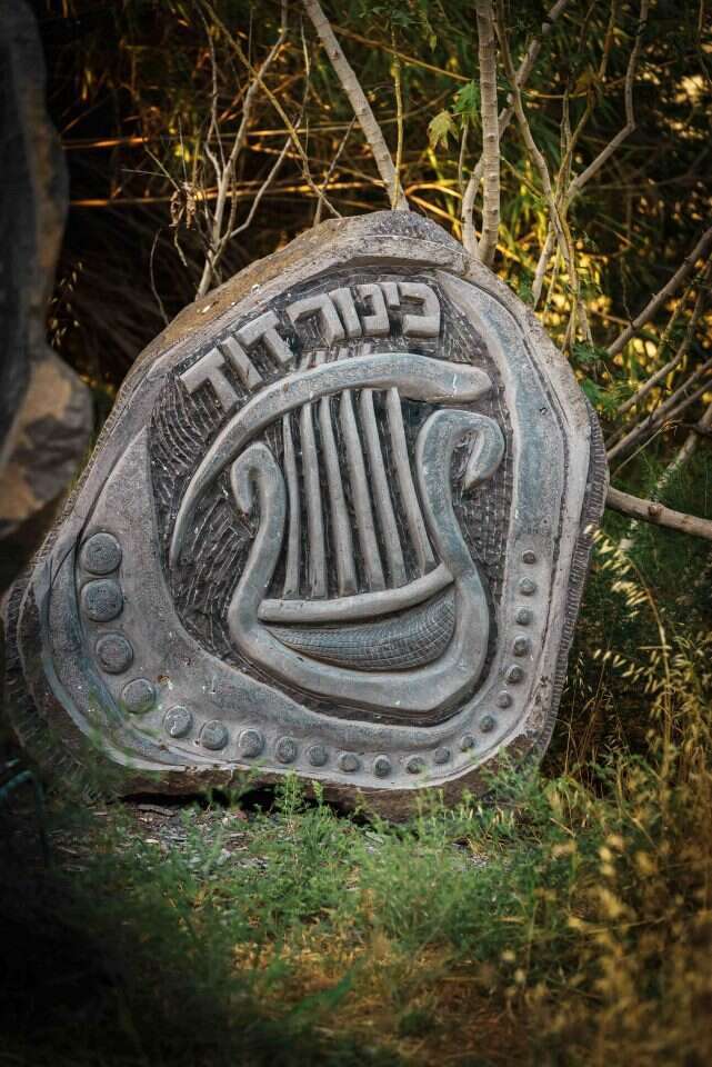 כינור דוד שפיסל לופן. | אנצ׳ו גוש - ג׳יני