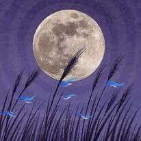 איור: נעמה להב