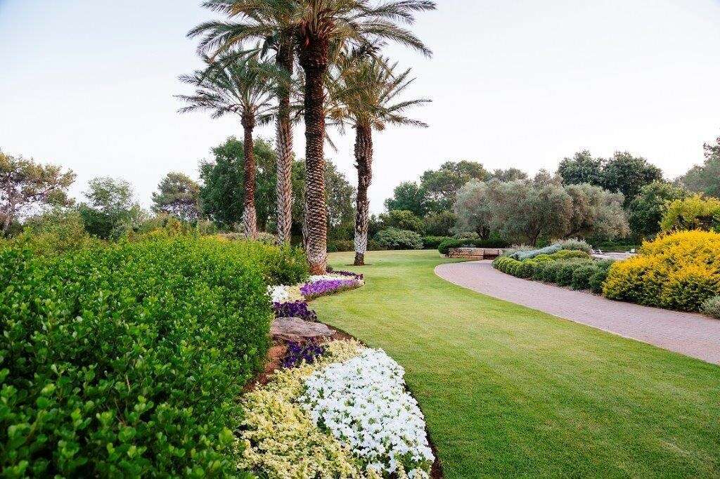 פארק רמת הנדיב. | ידיד לוי