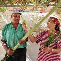 שאטרסטוק שאטרסטוק