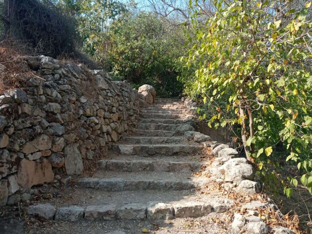 מסיירים עם אשכולות. | יחצ